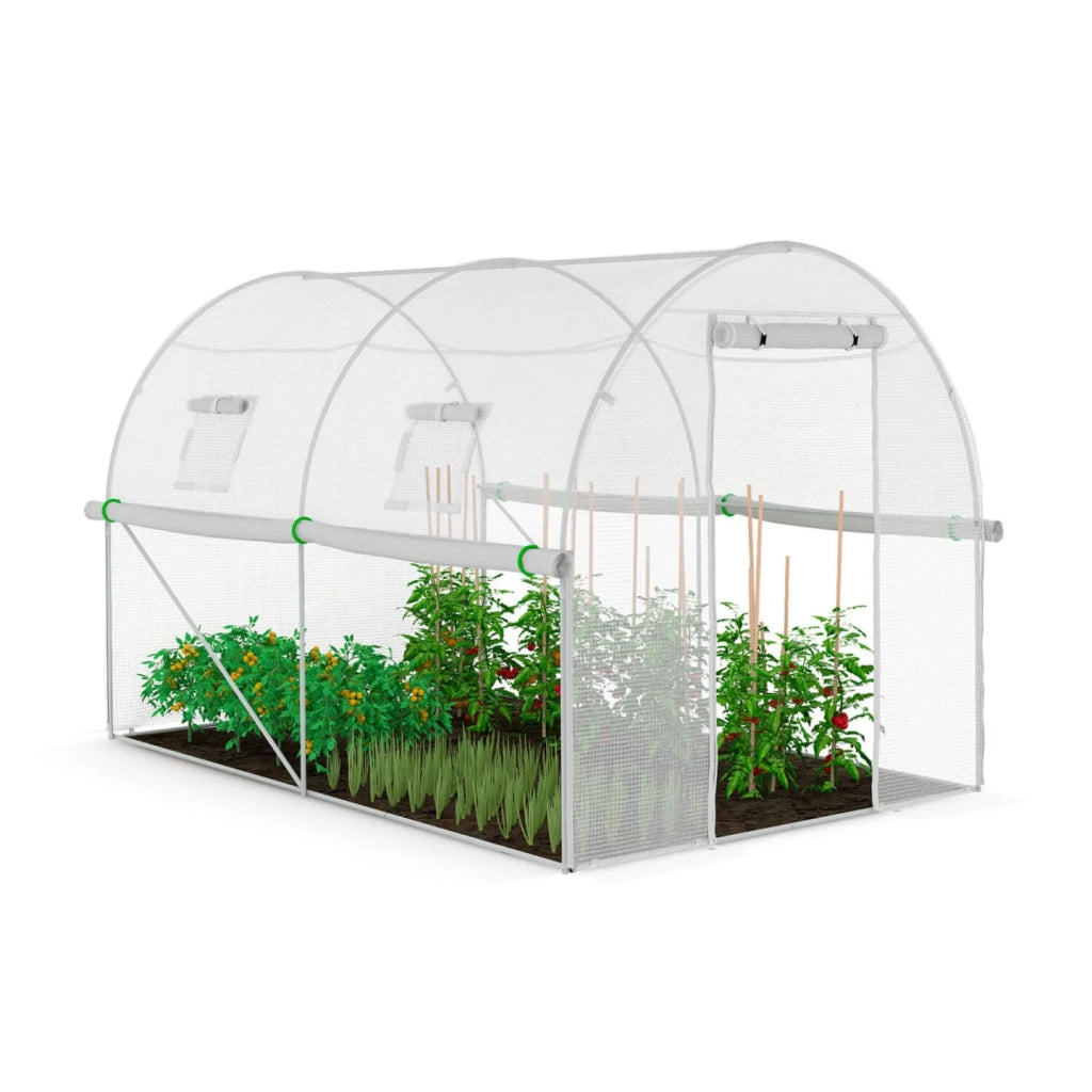IDMarket - Telone di ricambio per serra da giardino a tunnel da 6 m² (3 x 2 x 2 m), resistente ai raggi UV, con porta e finestre, modello R