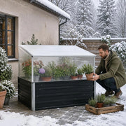 Greenhouse Anthracite 100x100x77 Cm Galvanized Steel