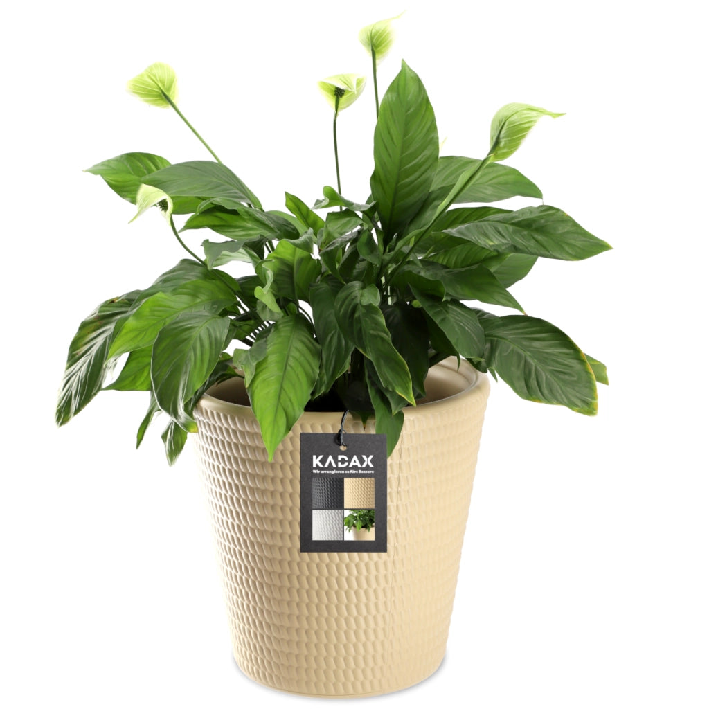 Vaso da fiori KADAX in plastica, rotondo, 30 cm, beige