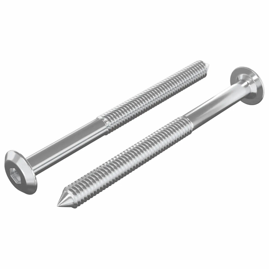Viti per mobili 2 pz Argento M6 x 70 mm Acciaio CFW2123732