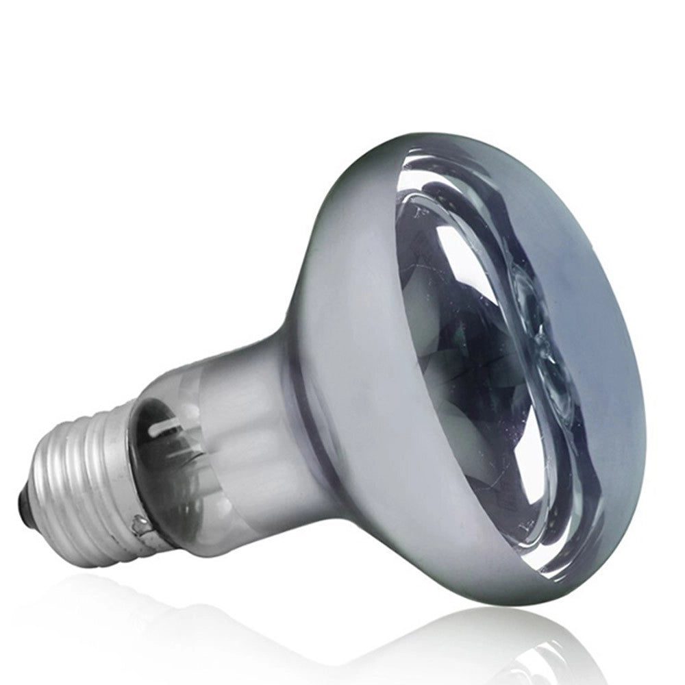 AQL Terra DayHeat Lamp Attacco E27 - Lampada riscaldante diurna per terrari Wattaggio Riscaldatori e lampade terrario: 25W