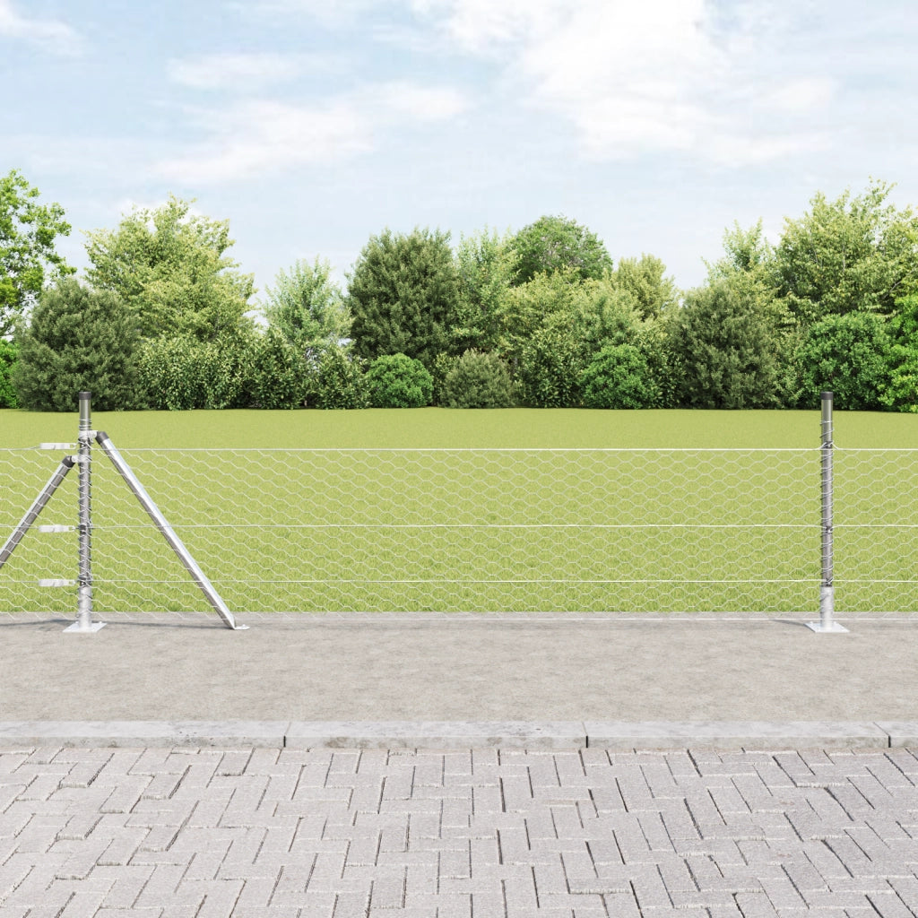 Recinzione Esagonale  0,5x100 m Acciaio Zincato