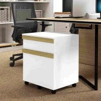 Mobile Caisson da ufficio a rotelle con 2 cassetti scorrevoli organizzatore per documenti 48 x 40 x 59,5 cm bianco