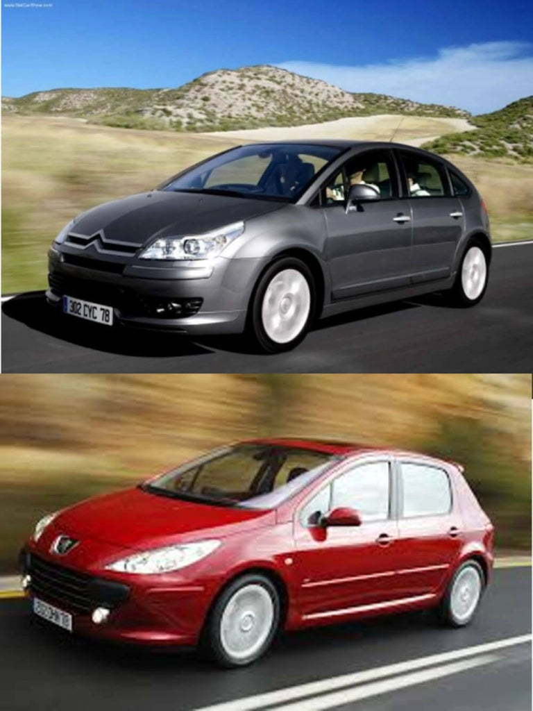 RIGUM900484 , Citroen C4 dal 2004-2009 , Peugeot 307 dal 2001-2009