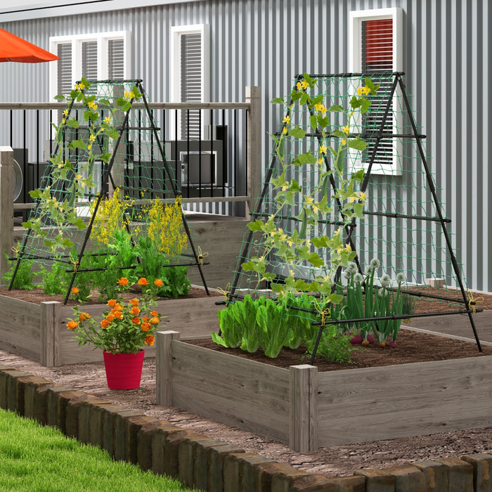 Trellis a telaio a supporto per piante per viti rampicanti-Verdure uva struttura da giardino per letto elevato con rete per rampicanti Nero