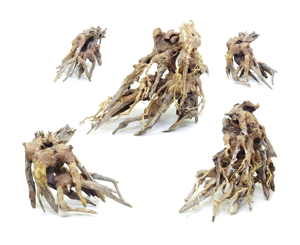 DecorLine Octopus Wood Foto Indicativa - Legno naturale decorativi per acqua dolce Modello: S (cm20x15x10h)