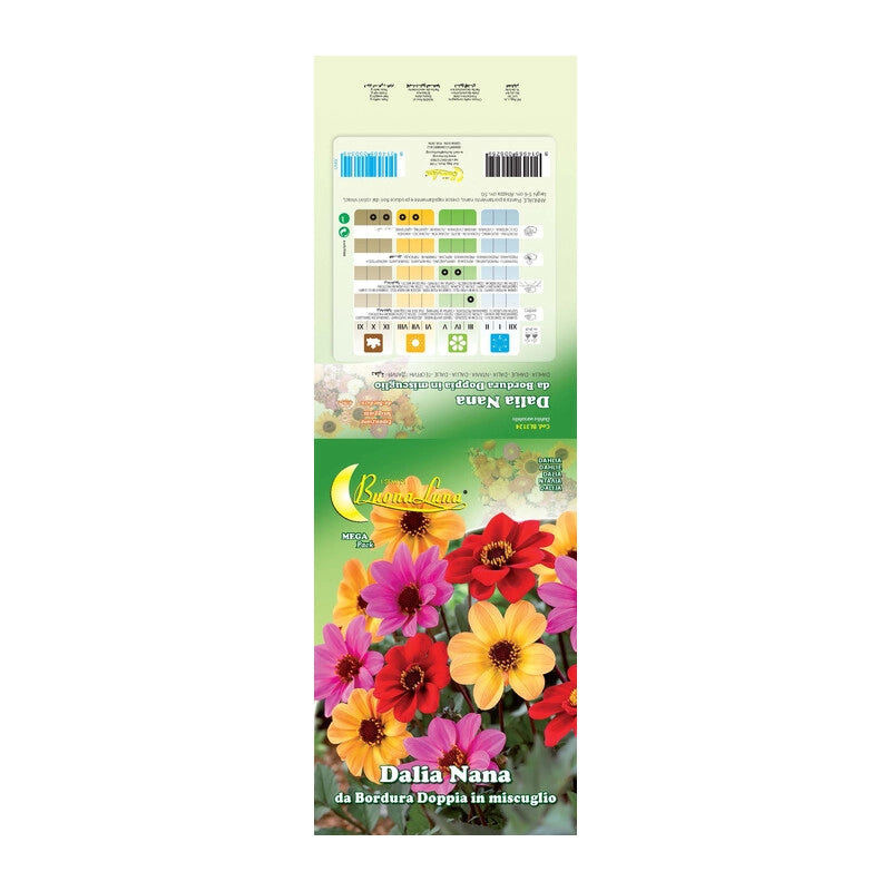 SEMI GARDEN DALIA SEMPLICE- 10,0 pz