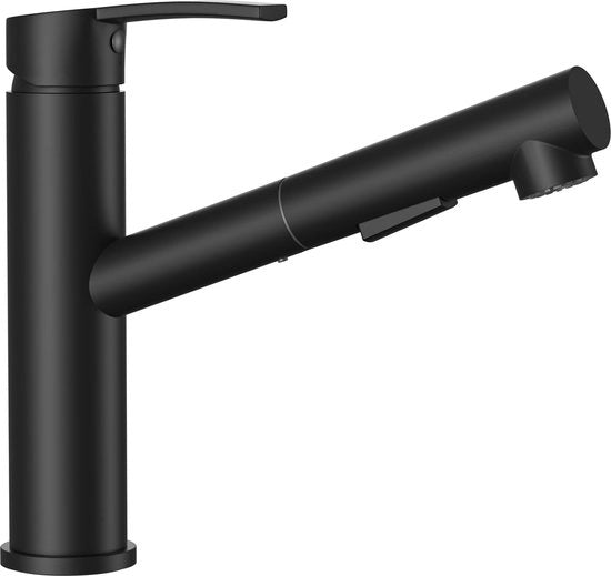 Kraan da cucina, alta pressione con spruzzatore estensibile e 2 modalità di spruzzo, miscelatore da cucina in acciaio inox, rubinetto da lavaggio in acciaio inox per la cucina con sprogetto estensibile