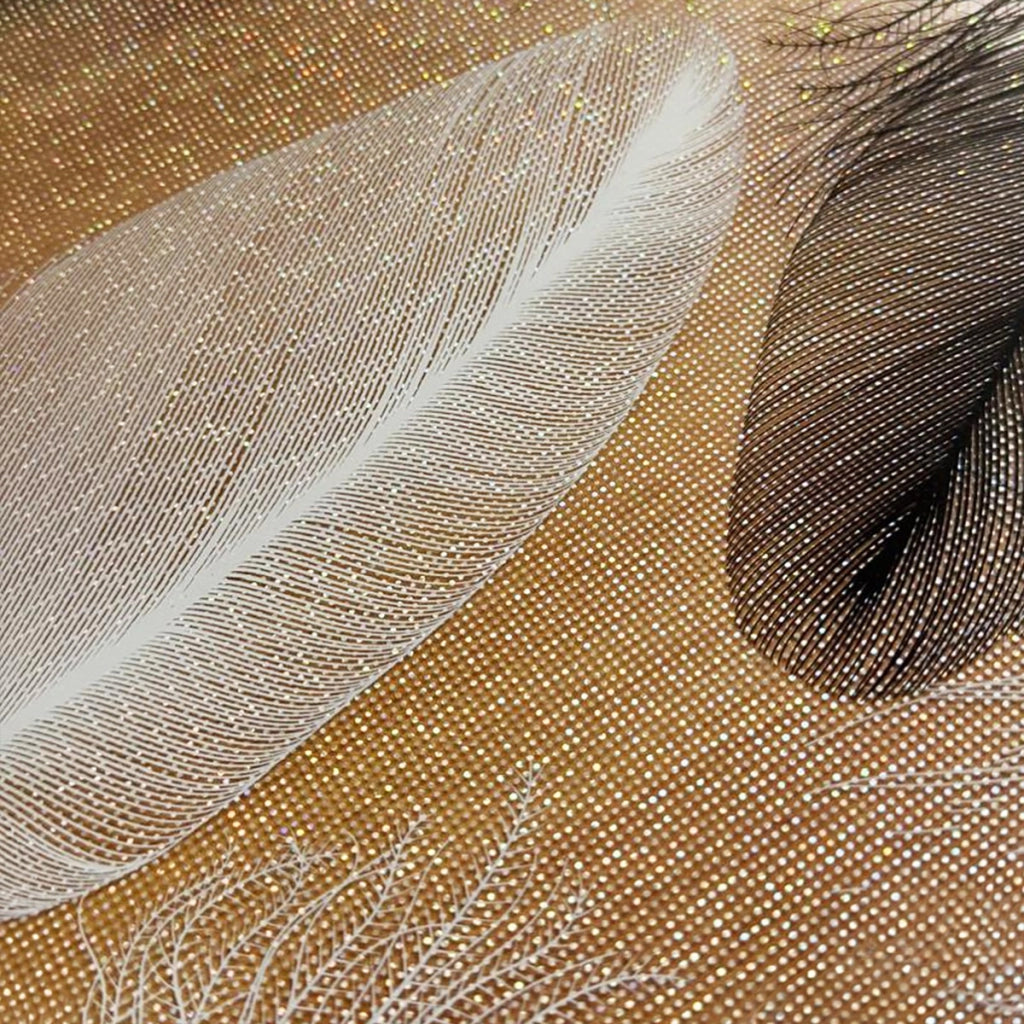Tovaglia Trasparente Decorata Glitterata Pellicola Pvc 100x60 Cm Tavolo Antimacchia Spessa Piume (A)