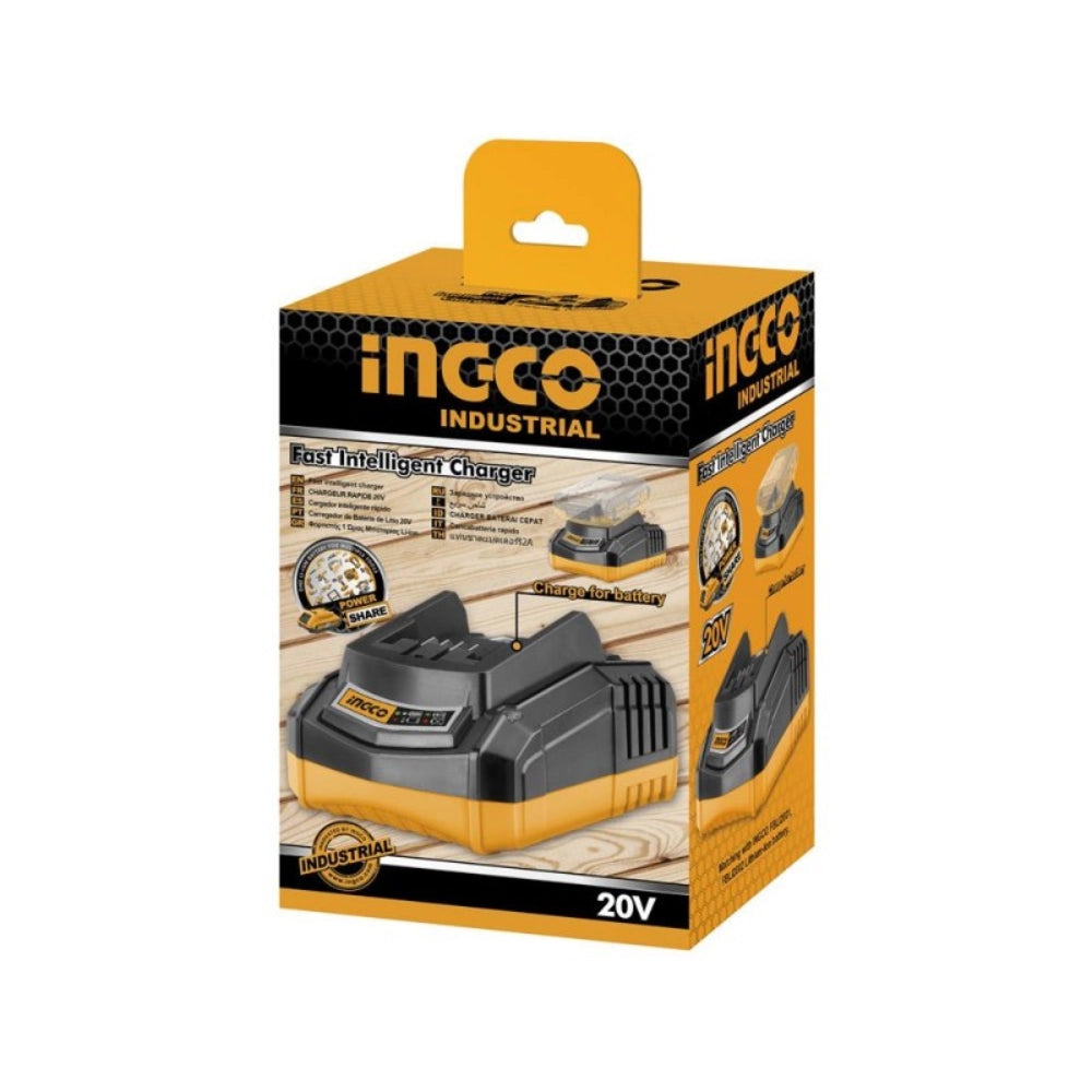 Caricabatterie portatile 20v 110v-240v ricarica rapida sicura elettroutensili