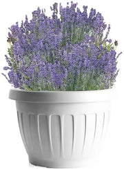 BAMA VASO DA TERRA IN PLASTICA ROTONDO 35 CM COLORE BIANCO