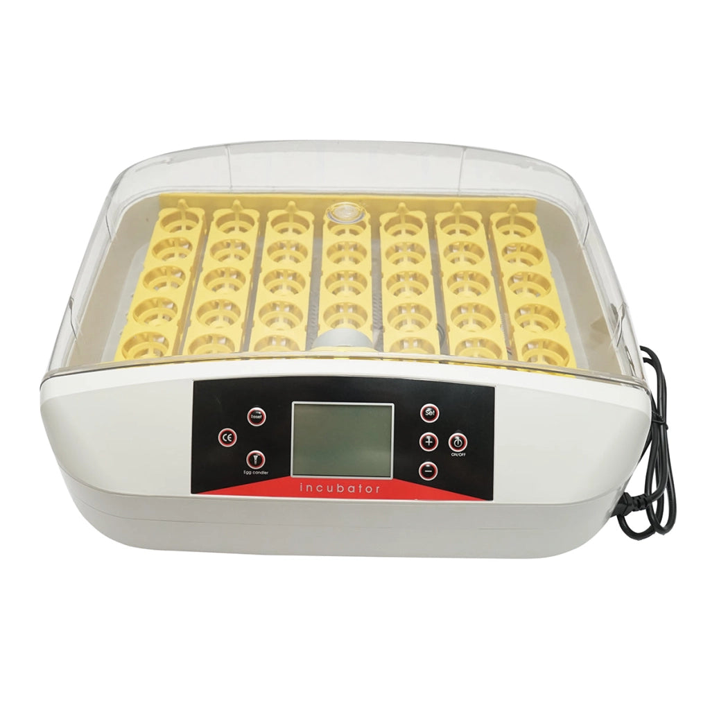 Incubatrice automatica per 32 uova, 220V, rotazione automatica, controllo della temperatura e umidità, display elettronico, vassoio illuminato a LED