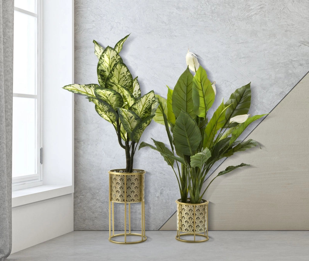 P/VASI GOLVY COPPIA -A- CM � 21X40-19X22