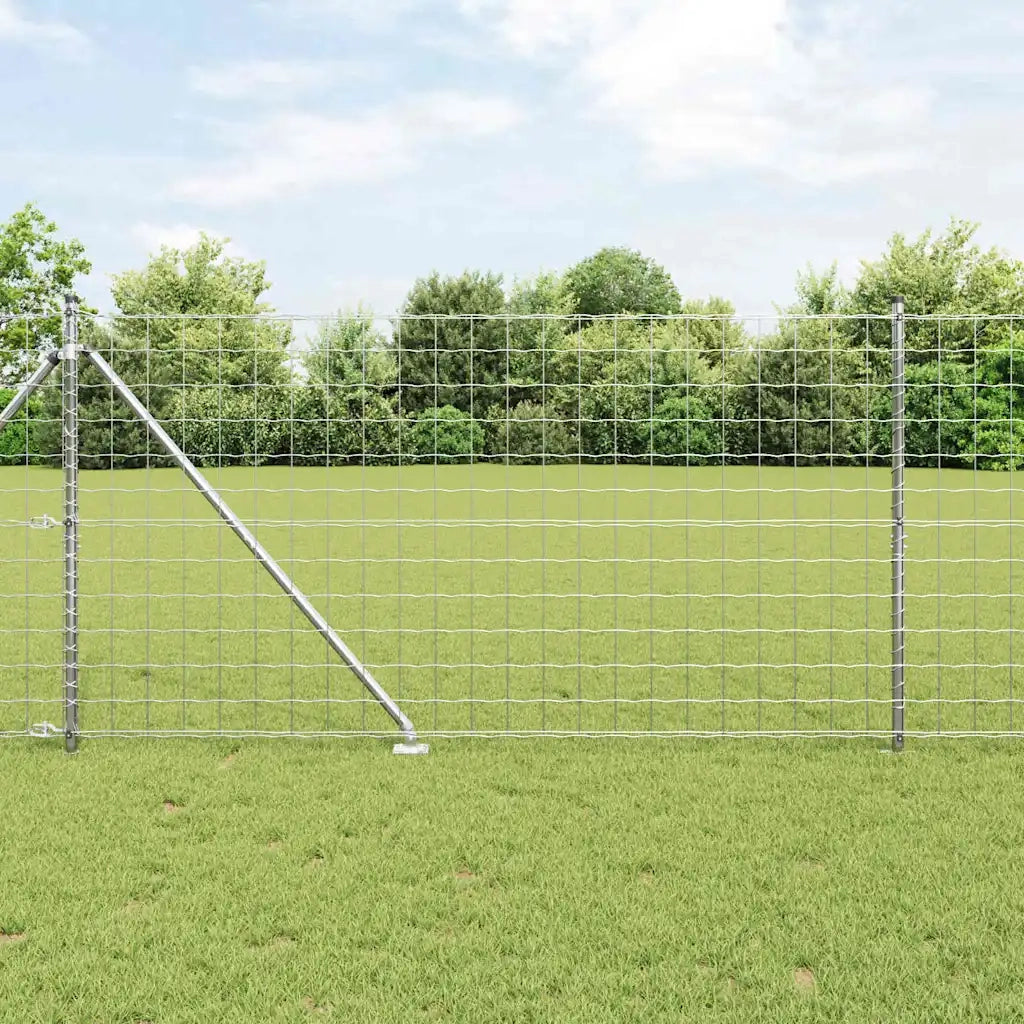 Recinzione con Posto Argento 1,2 x 25 m Acciaio