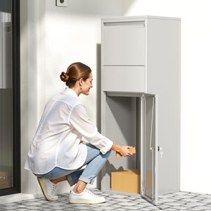 Cassetta postale portapacchi silver per pacchi medi e piccoli Parcel box