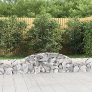 Cesti Gabbioni ad Arco 2 pz 300x30x40/60 cm Ferro Zincato 3146467