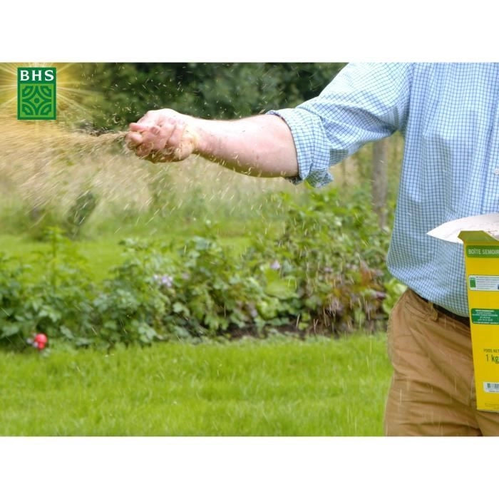 Prato - BHS - Sun Lawn 1kg  Resistente al clima mediterraneo e alla siccità