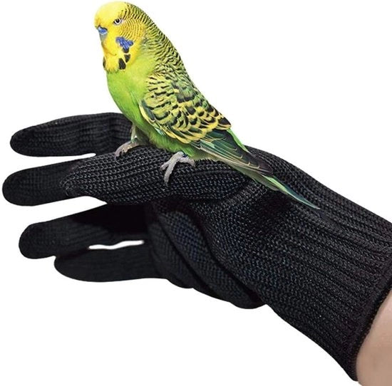 Manichini per addestramento per uccelli, guanti per il maneggio di piccoli animali, adatti per piccoli animali domestici come scoiattoli, cavi, pappagalli, canarini e merli (1 coppia).