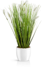 Kunstgras in un vaso ceramico bianco (42 cm): 

- Modello: 
- Dimensioni: 
- Materiale: 
- Colore: 
- Capacità di riempimento: 
- Dimensioni del vaso: 42 cm
