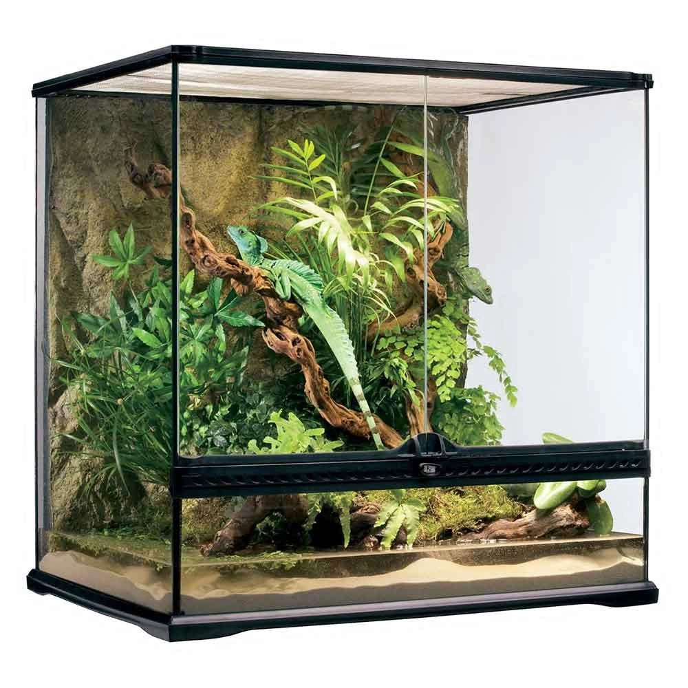 ExoTerra Glass Natural Terrarium Medium Tall – cm60x45x60h