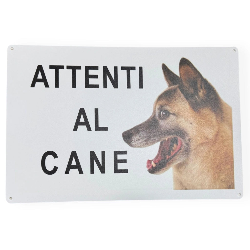 Cartello Attenti al Cane 30x20 cm con 4 Fori e Adesivi 884897