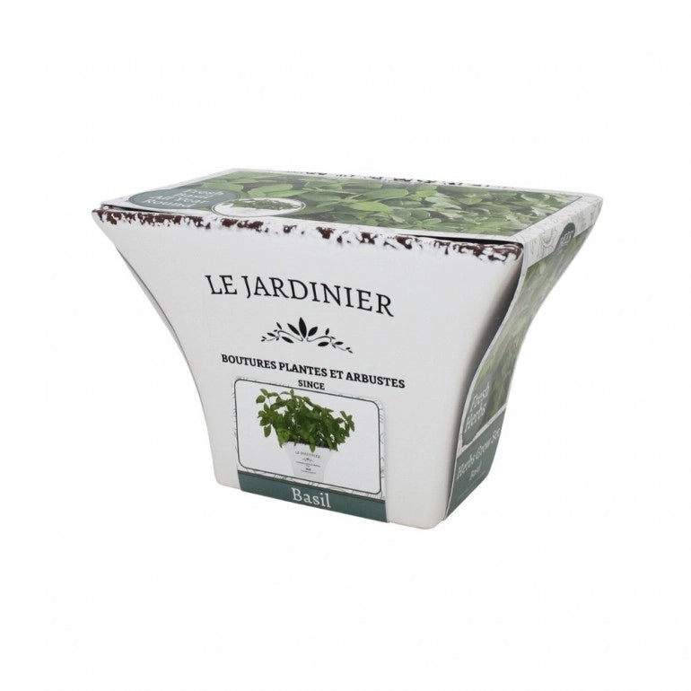 Kit Coltivazione per il Basilico, con vaso in ceramica, terriccio e semi