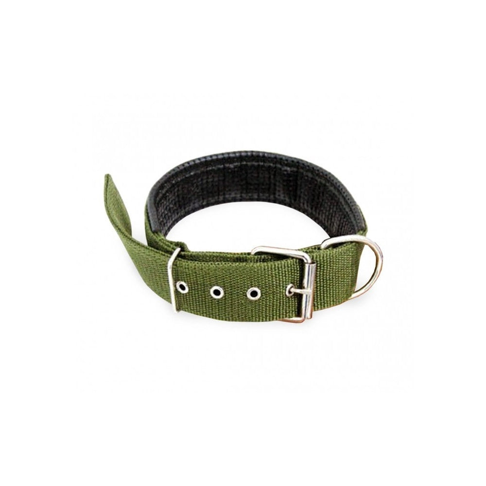 Trade Shop - Collare In Nylon Con Imbottitura Per Cani Tg. Grande Chiusura Fibbia Regolabile -