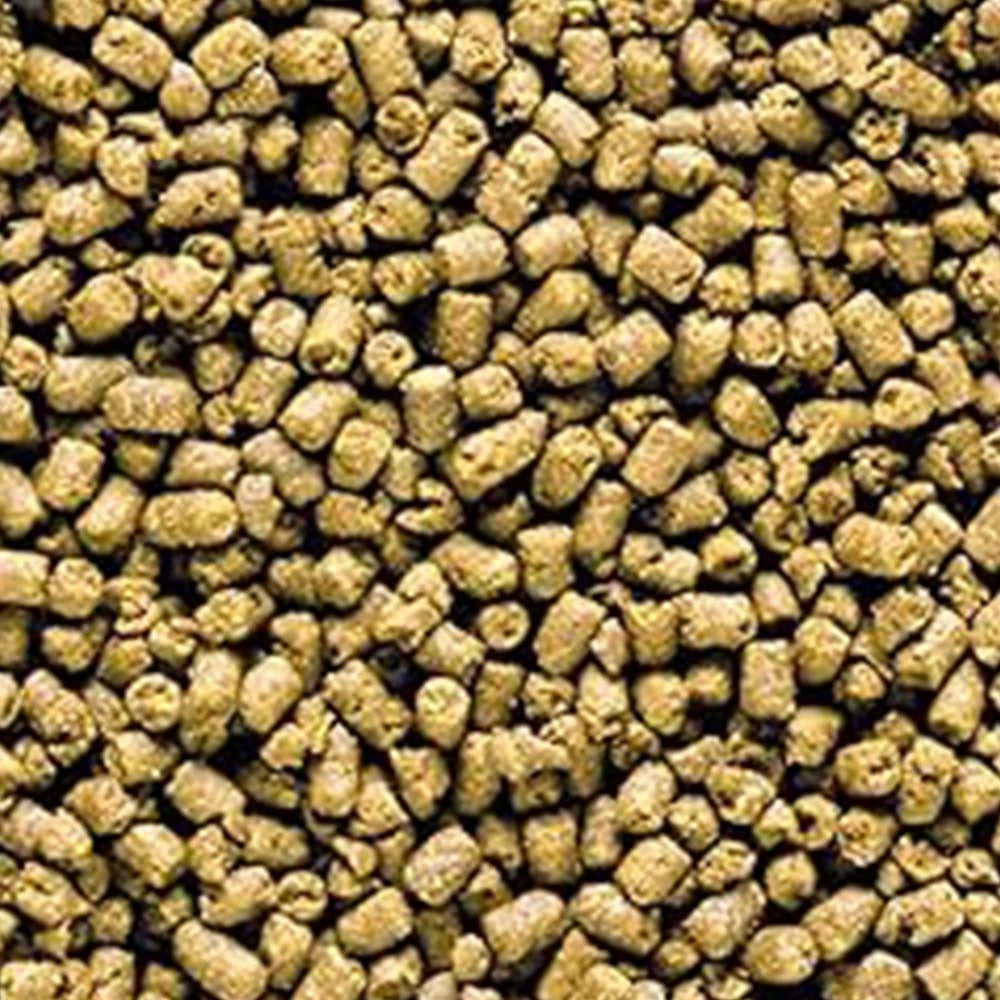 Saki-Hikari Marine Carnivore Sinking Type M 40gr - Mangime Affondante per Pesci Marini