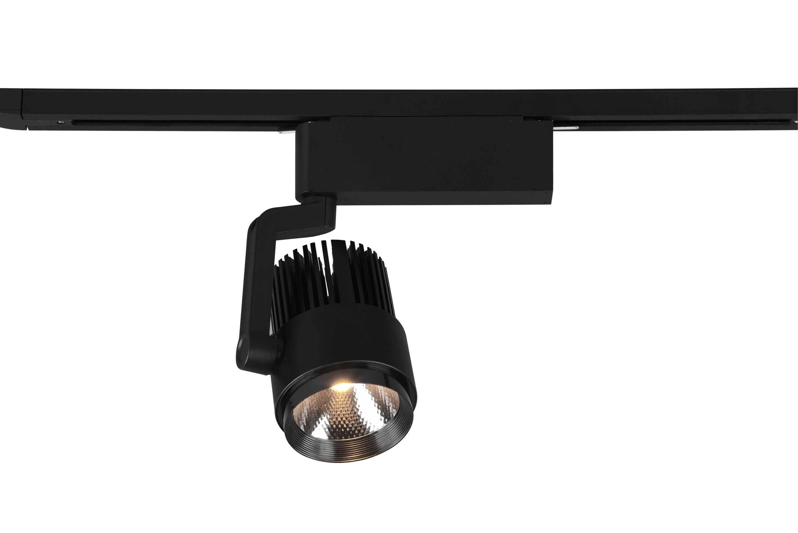 Faretto da Interno a led in Metallo Nero Opaco