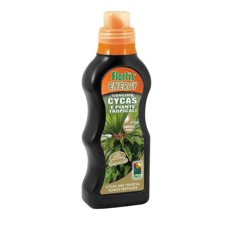 Energy concime Cycas piante tropicali 500g