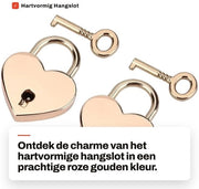Set di 2 Hangslot met Chiave in Metallo di Alta Qualità - Adatto per Borsa/Giornale/Cassa di Gioielli - Duraturo e Stile