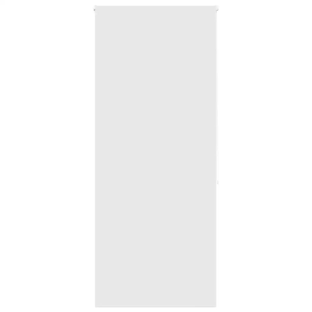 Tenda a Rullo Doccia 100x240 cm Larghezza Tessuto 96 cm 4014935
