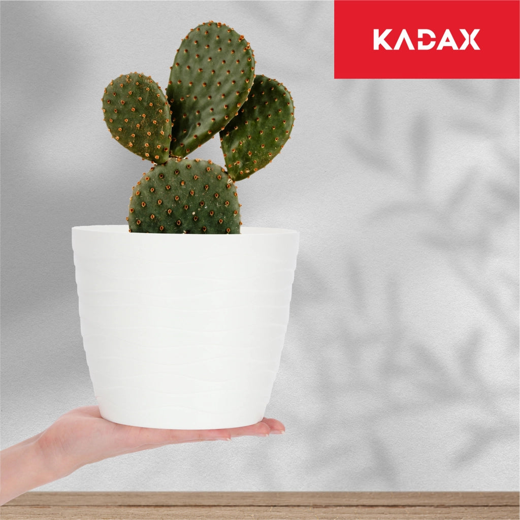 Vaso da fiori KADAX in plastica, rotondo, bianco, 17 cm, per fiori e piante.