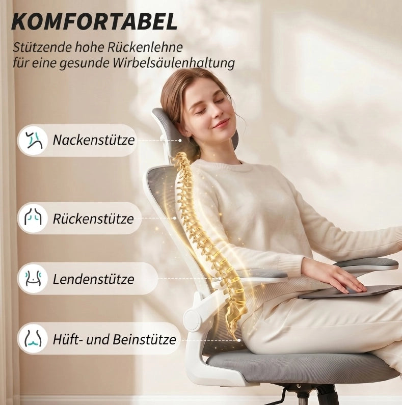 Sedia da Ufficio Ergonomica con Supporto Lombare Regolabile e Braccioli Ribaltabili Grigia