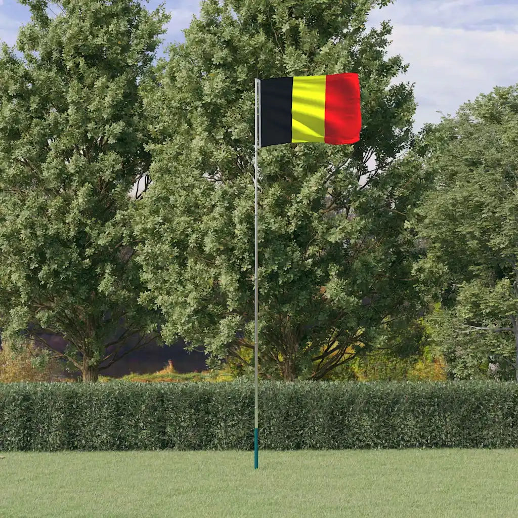 Asta e Bandiera Belgio 5,5 m Alluminio CFW3440771