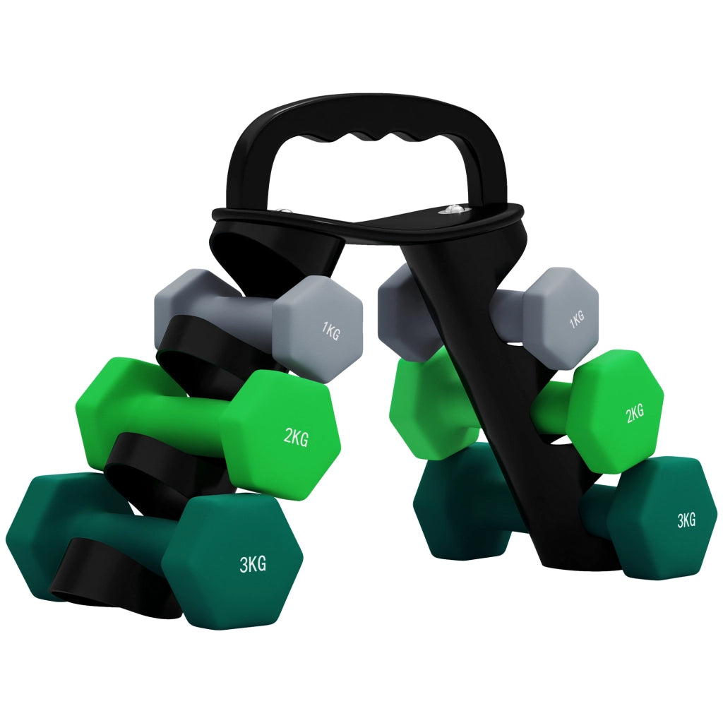 Set di manubri 2x1kg 2x2kg 2x3kg con supporto ¨C zephmum ¨C multicolore