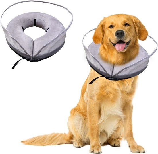 Kegel per Dog per Operazione - Cintura di Recupero per Cani - Cappuccio di Protezione con Baffle Antimordacchia | Protezione per Animali Domestici - Kegel per Cani (75+ caratteri)