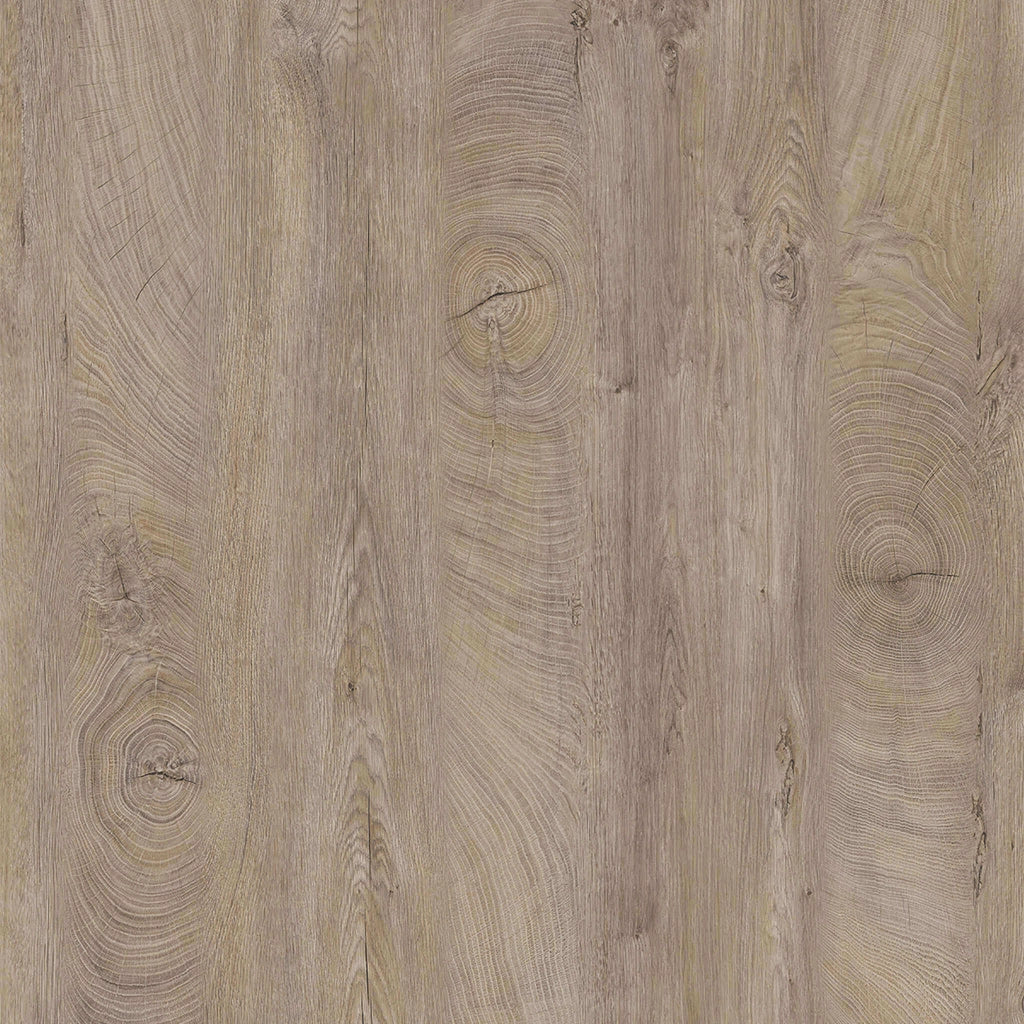 TAVOLO GEMMA ALLUNGABILE 160/200 X 90 X H75 CM ROVERE CHIARO