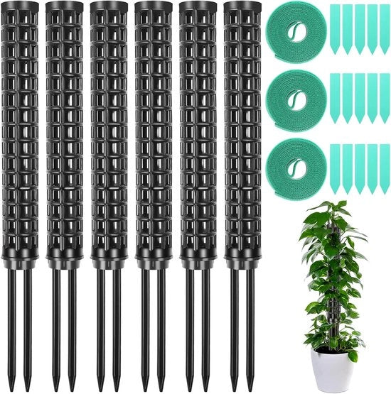 Sostegno per piante e aiuto alla crescita per Monstera - Set di 6 sostegni per piante in plastica