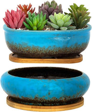 Pannelli di impianto per piante ceramiche con luce di sfogo in bambù - 1 pannello rettangolare + 1 pannello rotondo per cactus e bonsai.