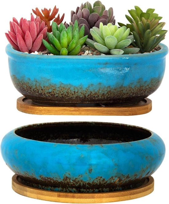 Pannelli di impianto per piante ceramiche con luce di sfogo in bambù - 1 pannello rettangolare + 1 pannello rotondo per cactus e bonsai.