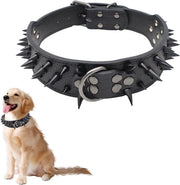Cinturino per cane adattabile con spine - 65 cm, per cani di taglia media e grande
