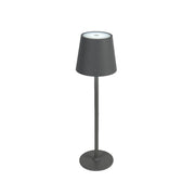 LAMPADA DA TAVOLO LED D.11XH37CM IN PVC GRIGIO.