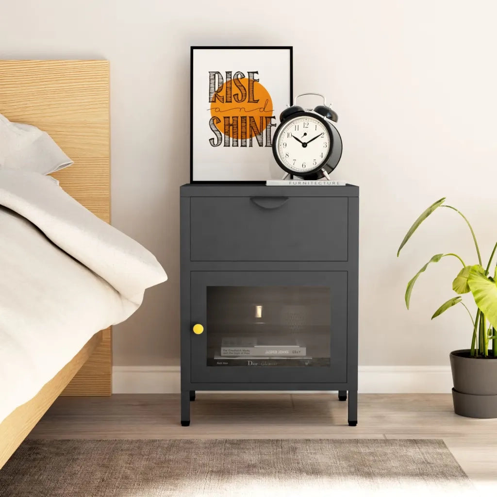 Comodino | Armadio da Notte | Mobiletto da notte Antracite 40x30x54,5 cm in Acciaio e Vetro