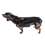 Supporto per la Colonna Vertebrale per Cani - Braccio di Sostegno IVDD - Protezione e Alleviamento del Dolore - Sostegno alla Colonna Vertebrale - Recupero Chirurgico - Prevenzione delle Malattie della Colonna Vertebrale