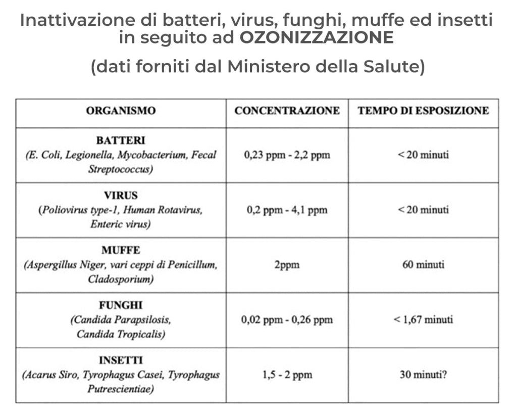 <p><em><strong>Generatore di Ozono</strong></em></p><h2 class="subheading-desc">Generatore di Ozono Portatile