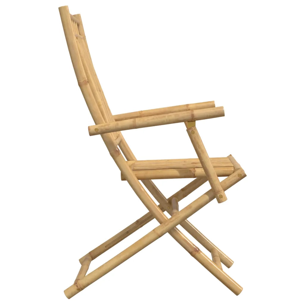 Sedie da Giardino Pieghevoli 2 pz 53x66x99 cm in BambÃ¹