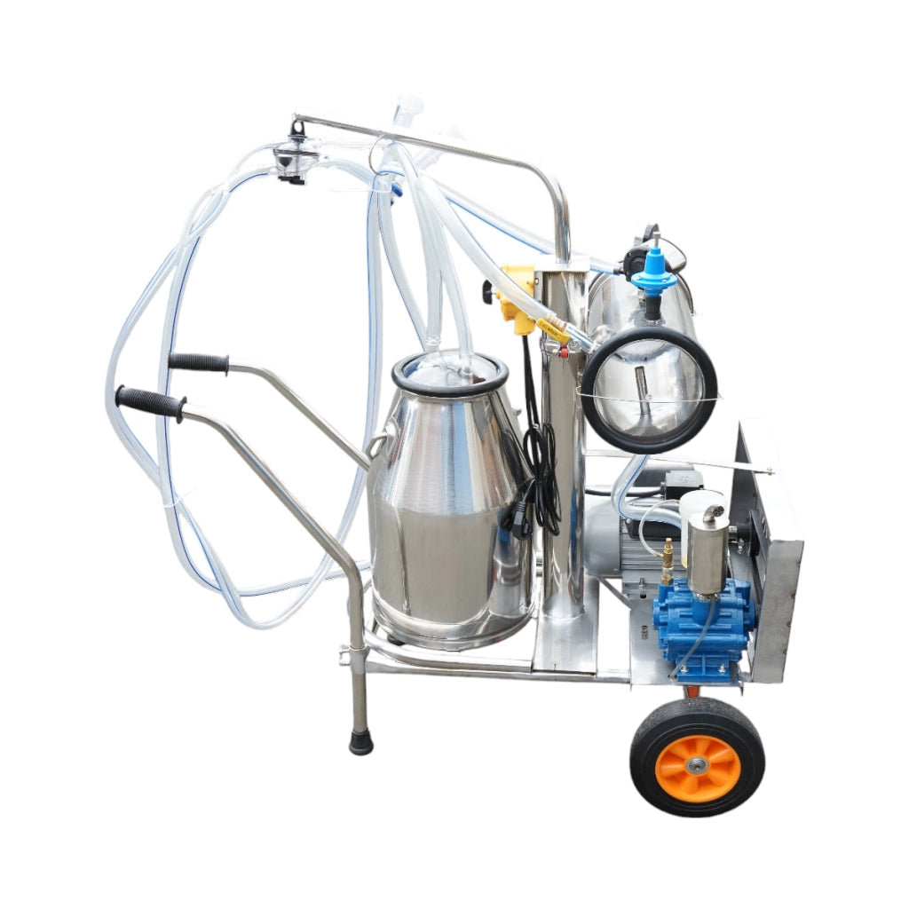 Dispositivo per mungitura di pecore, 1 postazione, 750W, 220V, bidone in acciaio inox da 25L, gruppo di mungitura con 2 manicotti, pressione del vuoto 40-50 kPa, pulsazioni 60-80 cpm