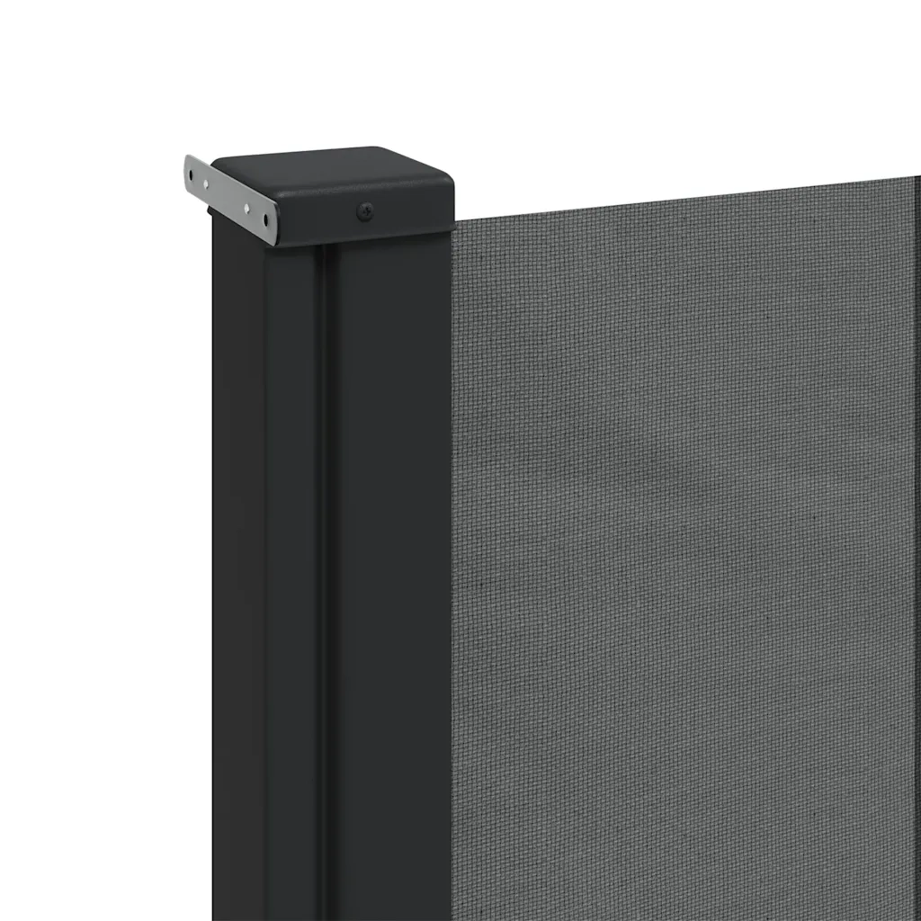 Tenda da sole laterale retrattile antracite 220x300 cm 4004383