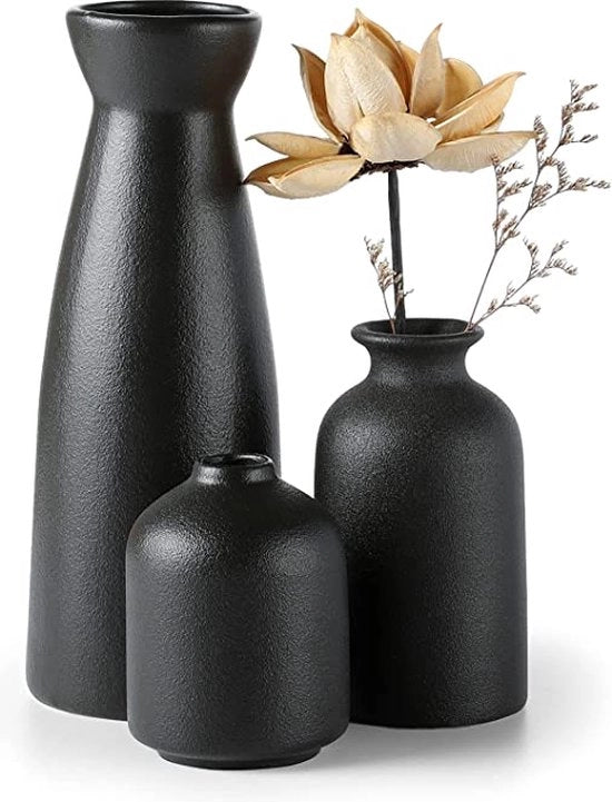 Decorazioni per la sala da pranzo - vaso di fiori - vasi, vaso decorativo di fiori, vaso da tavolo per pampas, fiori, fiori essiccati, vasi moderni